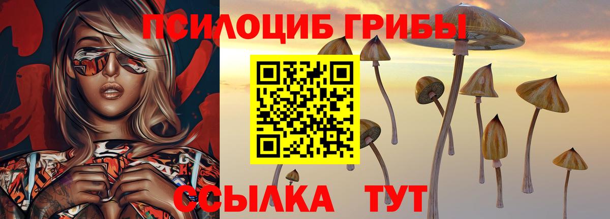 Галлюциногенные грибы Psilocybine cubensis  Вход с VPN  Строитель 